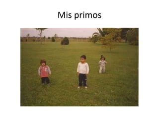 Mis primos
 