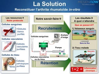 La Solution 
Reconstituer l’arthrite rhumatoïde in-vitro 
Les ressources 
Notre protocole 
Cellules sanguines 
Cellules vasculaires 
Cellules du tissu 
Genou 
•Globules 
blancs 
purifiés 
•Cellules 
vasculaires 
purifiées 
•Cellules 
pathologiques 
purifiées 
Les résultats 
A quoi s’attendre 
Recrutement 
Microscope 
Rétention 
Que se passe-t-il? 
1) Vaisseaux sanguin 
Migration 
Sens du flux 
2) Tissu malade 
Absorptio 
n 
1+2 = Inflammation 
chronique 
Notre savoir-faire 
Cultured cells 
Analyse 
Cellules sanguines d’image 
Pompe 
Cellules vasculaires 
ou du tissu 
 