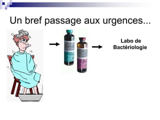 Un bref passage aux urgences... 
Labo de 
Bactériologie 
 