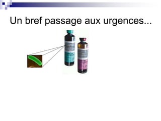 Un bref passage aux urgences... 
 