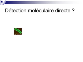 Détection moléculaire directe ? 
 