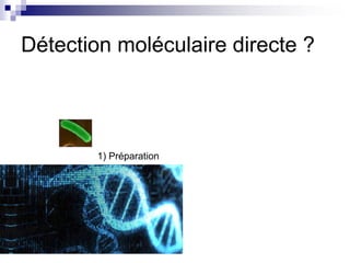 Détection moléculaire directe ? 
1) Préparation 
 