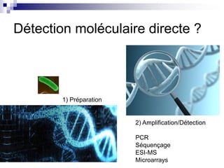 Détection moléculaire directe ? 
1) Préparation 
2) Amplification/Détection 
PCR 
Séquençage 
ESI-MS 
Microarrays 
 