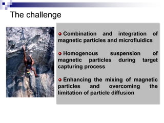 The challenge 
Combination and integration of 
magnetic particles and microfluidics 
Homogenous suspension of 
magnetic particles during target 
capturing process 
Enhancing the mixing of magnetic 
particles and overcoming the 
limitation of particle diffusion 
 