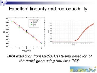 Excellent linearity and reproducibility 
DNA extraction from MRSA lysate and detection of 
the mecA gene using real-time PCR 
 