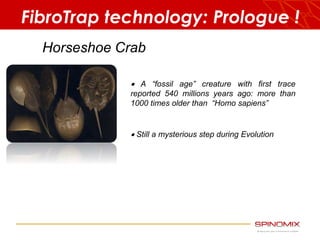 FibroTrap technology: Prologue ! 
Horseshoe Crab 
 A “fossil age” creature with first trace 
reported 540 millions years ago: more than 
1000 times older than “Homo sapiens” 
 Still a mysterious step during Evolution 
 