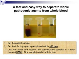 Pelleting sample preparation technology 
A fast and easy way to separate viable 
pathogenic agents from whole blood 
(1) Get the patient sample 
(2) Get the infecting agents precipitated within <20 min 
(3) Lyse the pellet and recover the concentrated bacteria in a small 
volume (1/50th of the sample) ready for detection 
 