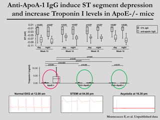 Anti-ApoA-1 IgG induce ST segment depression 
and increase Troponin I levels in ApoE-/- mice 
0.01 p<0.001 p<0.001 p<0.001 p<0.001 p<0.001 p<0.001 p<0.001 p<0.001 
day night 
Week 15 
p<0.001 
day night 
Week 14 
p=0.001 
p=0.477 
p=0.0.653 
day night 
Week 13 
day night 
Week 16 
p=0.001 p=0.350 p=0.571 
ApoE-/- Tlr2-/-ApoE-/- Tlr4-/-ApoE-/- 
-0.01 
-0.03 
-0.05 
-0.07 
-0.09 
-0.11 
Troponin I (ng/ml) 
10.00 
5.00 
0.00 
ST (mV) 
CTL IgG 
anti-apoA-1 IgG 
Normal EKG at 12.00 am STEMI at 04.00 pm Asystolia at 16.30 pm 
Montecucco F, et al. Unpublished data 
 