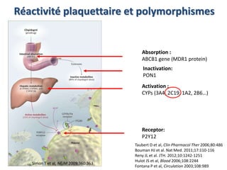 Réactivité plaquettaire et polymorphismes 
Simon T et al, NEJM 2009;360:363 
Absorption : 
ABCB1 gene (MDR1 protein) 
Inactivation: 
PON1 
Activation : 
CYPs (3A4, 2C19, 1A2, 2B6…) 
Receptor: 
P2Y12 
Taubert D et al, Clin Pharmacol Ther 2006;80:486 
Bouman HJ et al. Nat Med. 2011;17:110-116 
Reny JL et al. JTH. 2012;10:1242-1251 
Hulot JS et al, Blood 2006;108:2244 
Fontana P et al, Circulation 2003;108:989 
 