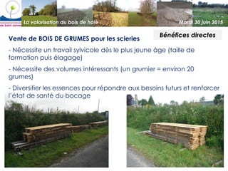 La valorisation du bois de haie Mardi 30 juin 2015
Bénéfices directes
Vente de BOIS DE GRUMES pour les scieries
- Nécessit...