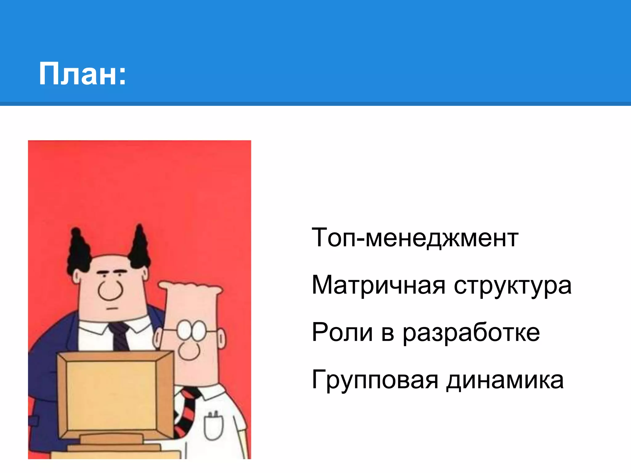 План:
Топ-менеджмент
Матричная структура
Роли в разработке
Групповая динамика
 