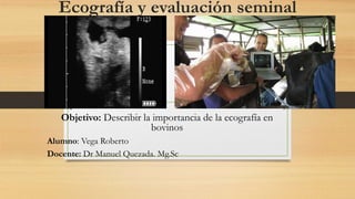 Ecografía y evaluación seminal
Objetivo: Describir la importancia de la ecografía en
bovinos
Alumno: Vega Roberto
Docente: Dr Manuel Quezada. Mg.Sc
 