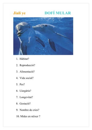 Jiali ye                 DOFÍ MULAR




 1. Hábitat?

 2. Reproducció?

 3. Alimentació?

 4. Vida social?

 5. Pes?

 6. Llargària?

 7. Longevitat?

 8. Gestació?

 9. Nombre de cries?

 10. Mides en néixer ?
 