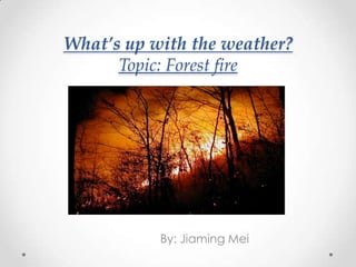 What’s up with the weather?
      Topic: Forest fire




           By: Jiaming Mei
 