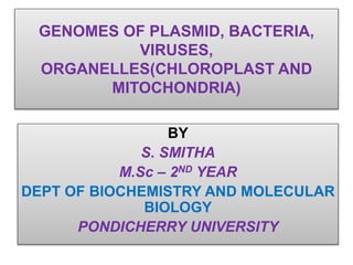 GENOMES OF PLASMID, BACTERIA,
VIRUSES,
ORGANELLES(CHLOROPLAST AND
MITOCHONDRIA)
BY
S. SMITHA
M.Sc – 2ND YEAR
DEPT OF BIOCHEMISTRY AND MOLECULAR
BIOLOGY
PONDICHERRY UNIVERSITY
 