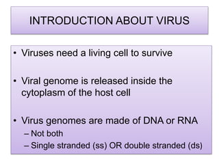 INTRODUCTION ABOUT VIRUS
• Viruses need a living cell to survive
• Viral genome is released inside the
cytoplasm of the host cell
• Virus genomes are made of DNA or RNA
– Not both
– Single stranded (ss) OR double stranded (ds)
 