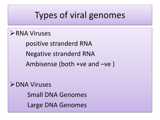 Types of viral genomes
RNA Viruses
positive stranderd RNA
Negative stranderd RNA
Ambisense (both +ve and –ve )
DNA Viruses
Small DNA Genomes
Large DNA Genomes
 