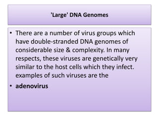 'Large' DNA Genomes
• There are a number of virus groups which
have double-stranded DNA genomes of
considerable size & complexity. In many
respects, these viruses are genetically very
similar to the host cells which they infect.
examples of such viruses are the
• adenovirus
 