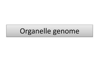 Organelle genome
 
