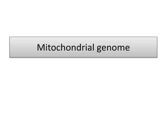 Mitochondrial genome
 