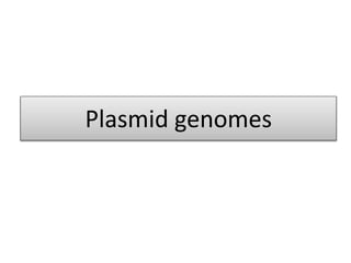 Plasmid genomes
 