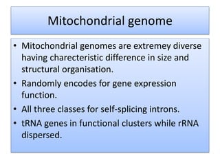 Mitochondrial genome
• Mitochondrial genomes are extremey diverse
having charecteristic difference in size and
structural organisation.
• Randomly encodes for gene expression
function.
• All three classes for self-splicing introns.
• tRNA genes in functional clusters while rRNA
dispersed.
 