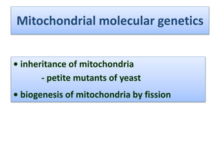 Mitochondrial molecular genetics
• inheritance of mitochondria
- petite mutants of yeast
• biogenesis of mitochondria by fission
 
