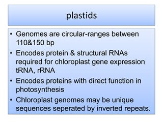 plastids
• Genomes are circular-ranges between
110&150 bp
• Encodes protein & structural RNAs
required for chloroplast gene expression
tRNA, rRNA
• Encodes proteins with direct function in
photosynthesis
• Chloroplast genomes may be unique
sequences seperated by inverted repeats.
 