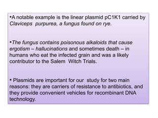 •A notable example is the linear plasmid pC1K1 carried by
Claviceps purpurea, a fungus found on rye.
•The fungus contains poisonous alkaloids that cause
ergotism – hallucinations and sometimes death – in
humans who eat the infected grain and was a likely
contributor to the Salem Witch Trials.
• Plasmids are important for our study for two main
reasons: they are carriers of resistance to antibiotics, and
they provide convenient vehicles for recombinant DNA
technology.
 