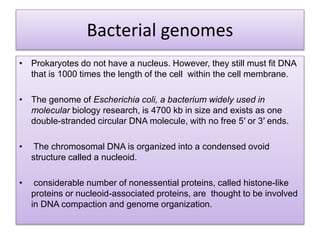 Bacterial genomes
• Prokaryotes do not have a nucleus. However, they still must fit DNA
that is 1000 times the length of the cell within the cell membrane.
• The genome of Escherichia coli, a bacterium widely used in
molecular biology research, is 4700 kb in size and exists as one
double-stranded circular DNA molecule, with no free 5′ or 3′ ends.
• The chromosomal DNA is organized into a condensed ovoid
structure called a nucleoid.
• considerable number of nonessential proteins, called histone-like
proteins or nucleoid-associated proteins, are thought to be involved
in DNA compaction and genome organization.
 