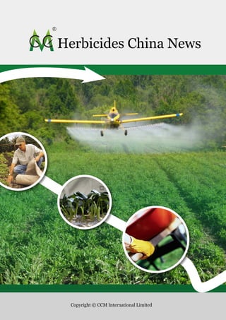 Herbicides China News




 Copyright © CCM International Limited
 