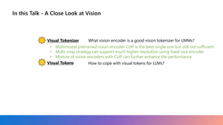 vision in LMM, a close look at them in context | PDF