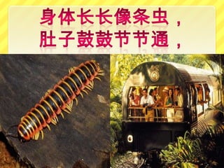 P&P B.Cina Tahun 1