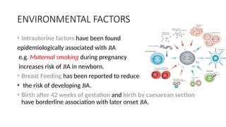 ENVIRONMENTAL FACTORS
• Intrauterine factors have been found
epidemiologically associated with JIA
e.g. Maternal smoking during pregnancy
increases risk of JIA in newborn.
• Breast Feeding has been reported to reduce
• the risk of developing JIA.
• Birth after 42 weeks of gestation and birth by caesarean section
have borderline association with later onset JIA.
 