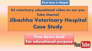 84 veterinary educational video on our you
Tube channel
Jibachha Veterinary Hospital
Case Study
Free down load
For educational purpose
First time in Nepal
 