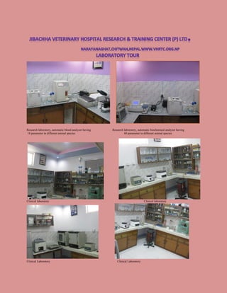 Research laboratory, automatic blood analyzer having Research laboratory, automatic biochemical analyzer having
18 parameter in different animal species 60 parameter in different animal species
Clinical laboratory Clinical laboratory
Clinical Laboratory Clinical Laboratory
 