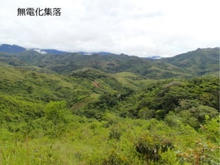 ޵绯
 
