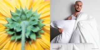 23493298 I RUBBERBALL   800.764.7427   jupiterimages.com   23283081 I IMAGE SOURCE
 