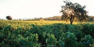 800.764.7427   jupiterimages.com   23091633 I PHOTOALTO
 