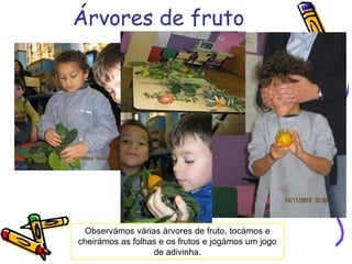 Árvores de fruto
Observámos várias árvores de fruto, tocámos e
cheirámos as folhas e os frutos e jogámos um jogo
de adivinha.
 