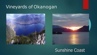 Vineyards of Okanogan
Sunshine Coast
 