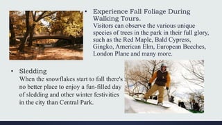• Experience Fall Foliage During
Walking Tours.
Visitors can observe the various unique
species of trees in the park in their full glory,
such as the Red Maple, Bald Cypress,
Gingko, American Elm, European Beeches,
London Plane and many more.
• Sledding
When the snowflakes start to fall there's
no better place to enjoy a fun-filled day
of sledding and other winter festivities
in the city than Central Park.
 