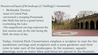 Structure and layout of the landscape (s) / building(s) / monument(s)
• Bethesda Terrace
-heart of Central Park.
-envisioned a sweeping Promenade
(the Mall) that led to a grand terrace
overlooking the Lake.
-The magnificent carvings represent the
four seasons and, on the side facing the
Mall, the times of day.
Today, Central Park Conservancy employs a sculptor to care for the
sandstone carvings and sculpture and a zone gardener and their
crew to take care of the landscapes. In the summer, aquatic
plantings such as water lilies and lotus are placed in the fountain,
 