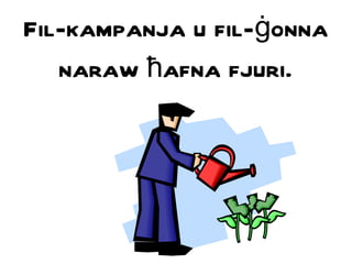 Fil-kampanja u fil- ġ onna naraw  ħ afna fjuri. 