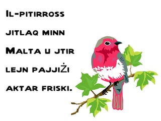 Il-pitirross jitlaq minn Malta u jtir lejn pajji ż i  aktar friski. 