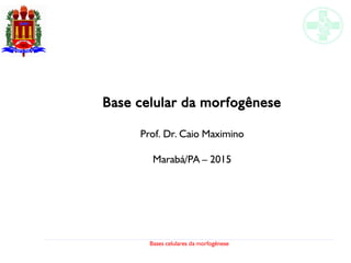 Bases celulares da morfogênese
Base celular da morfogênese
Prof. Dr. Caio Maximino
Marabá/PA – 2015
 
