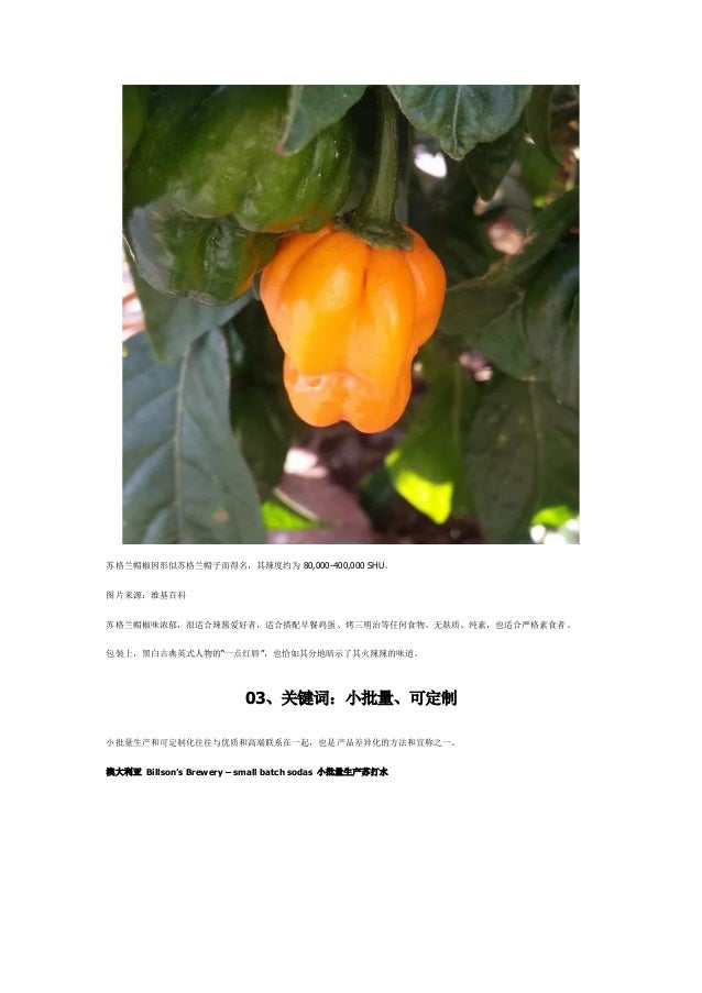 解析 19世界食品创新奖入围产品 素食 替代是健康主流 下篇 丨hello Foods栏目 解析 19世界食品创新奖入围产品 素食 替代是健康主流 下篇 丨hello Foods栏目