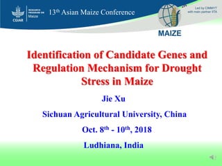 Jie Xu
Sichuan Agricultural University, China
Oct. 8th - 10th, 2018
Ludhiana, India
Identification of Candidate Genes and
Regulation Mechanism for Drought
Stress in Maize
13th Asian Maize Conference
 
