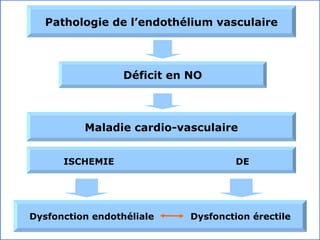 ISCHEMIE  DE Maladie cardio-vasculaire Déficit en NO Pathologie de l’endothélium vasculaire Dysfonction endothéliale  Dysfonction érectile 