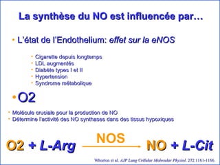 La synthèse du NO est influencée par…   L’état de l’Endothelium:  effet sur la eNOS O2 Whorton et al.  AJP Lung Cellular Molecular Physiol . 272:1161-1166 . Cigarette depuis longtemps LDL augmentés Diabète types I et II Hypertension Syndrome métabolique Molécule cruciale pour la production de NO Détermine l’activité des NO synthases dans des tissus hypoxiques O2  + L-Arg   NO   + L-Cit   NOS 